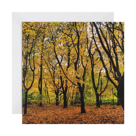 Woodland Trust Cards – Hallmark.